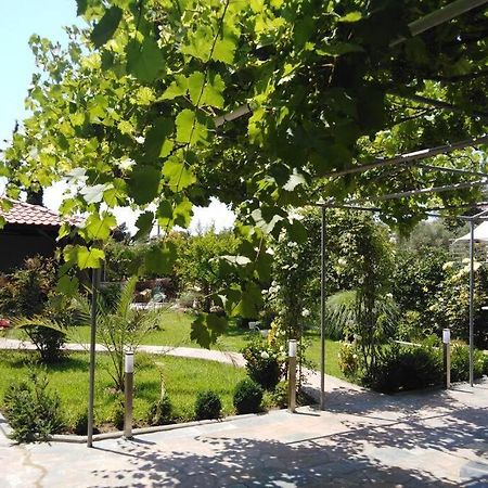 Villa Viktoria Halkidiki Nea Silata Kültér fotó