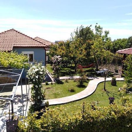Villa Viktoria Halkidiki Nea Silata Kültér fotó