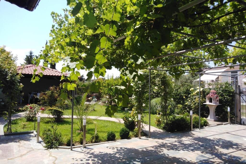Villa Viktoria Halkidiki Nea Silata Kültér fotó