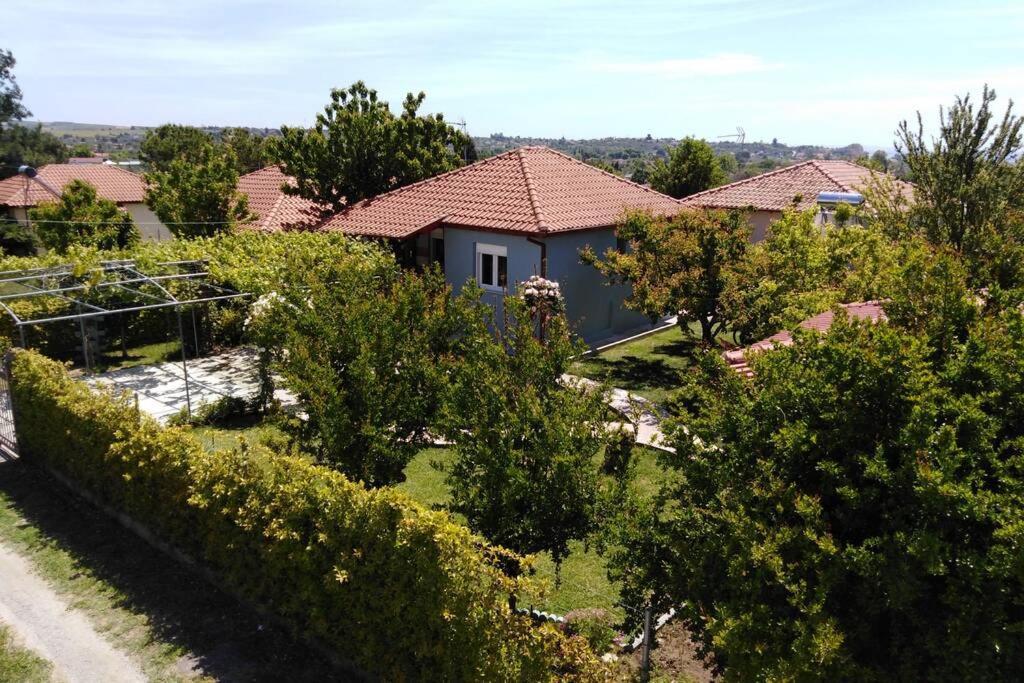 Villa Viktoria Halkidiki Nea Silata Kültér fotó