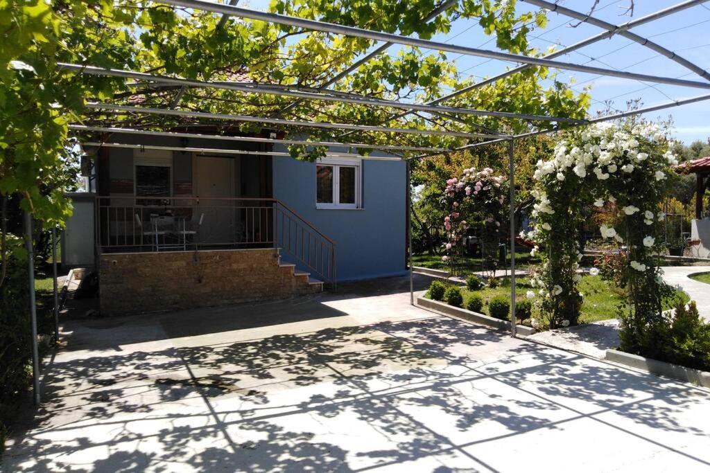 Villa Viktoria Halkidiki Nea Silata Kültér fotó