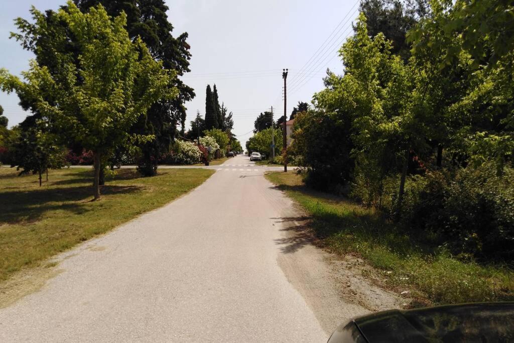 Villa Viktoria Halkidiki Nea Silata Kültér fotó