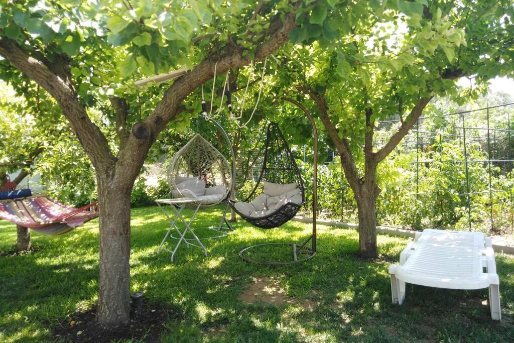 Villa Viktoria Halkidiki Nea Silata Kültér fotó
