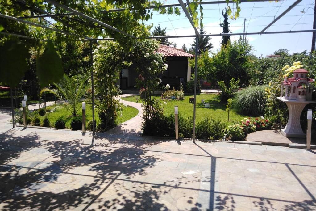 Villa Viktoria Halkidiki Nea Silata Kültér fotó
