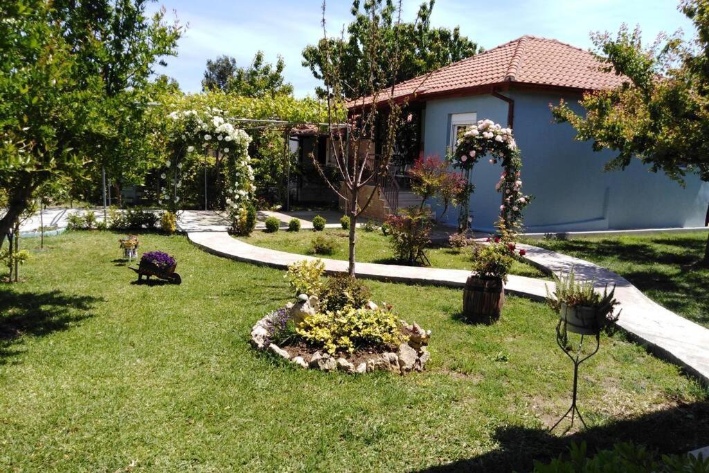 Villa Viktoria Halkidiki Nea Silata Kültér fotó