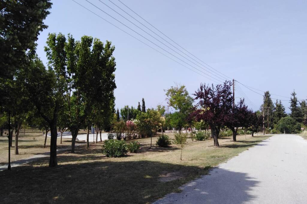Villa Viktoria Halkidiki Nea Silata Kültér fotó