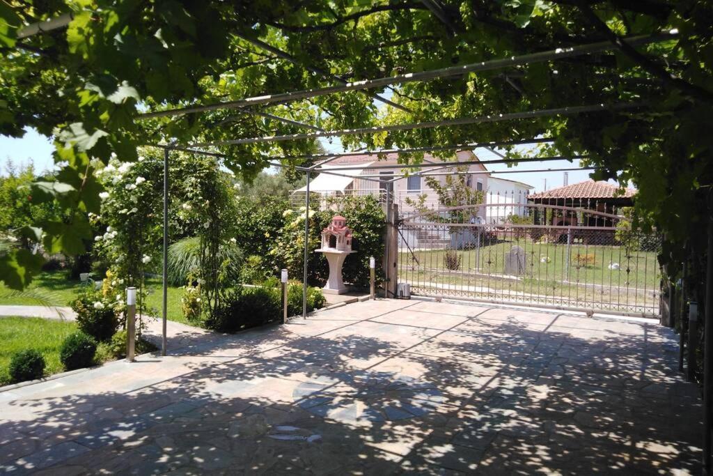 Villa Viktoria Halkidiki Nea Silata Kültér fotó