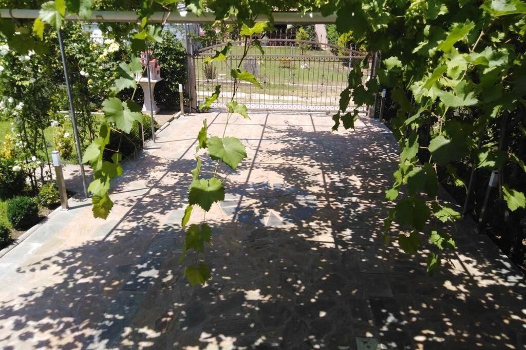 Villa Viktoria Halkidiki Nea Silata Kültér fotó